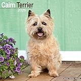 Cairn Terrier calendar thumbnail