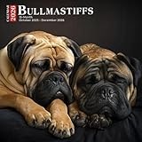 Bullmastiffs Calendar 2026: Gentle Giants with Watchful Eyes and Calm Strength