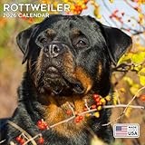 2026 Rottweiler Calendar - Dog Breed Wall Calendar - 12 x 24 Open - Thick No-Bleed Paper - 14 Month Planner Calendar Organizing & Planning