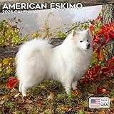 2026 American Eskimo Calendar - Dog Breed Wall Calendar - 12 x 24 Open - Thick No-Bleed Paper - 14 Month Planner Calendar Organizing & Planning