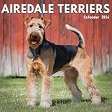 Airedale Terrier Calendar 2026: 12 Months of Dogs: January to December 2026 | The Perfect Gift for Planning, Organizing, and Dog Lovers Alike