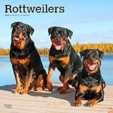 Rottweiler calendar thumbnail