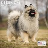 2026 Keeshond Calendar - Dog Breed Wall Calendar - 12 x 24 Open - Thick No-Bleed Paper - 14 Month Planner Calendar Organizing & Planning