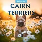 Cairn Terriers 2026 Calendar: Curious Faces and Spirited Hearts