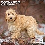 Cockapoo calendar thumbnail