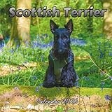 Scottish Terrier Calendar 2026: Organizer For Home & Office From January to December For Men, Women