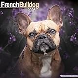 French Bulldog 2026 Calendar | Square Wall Calendar | Dog Breed Gift | Plastic Free Packaging | by Avonside Publishing