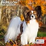 2026 Papillon Calendar - Dog Breed Wall Calendar - 12 x 24 Open - Thick No-Bleed Paper - 14 Month Planner Calendar Organizing & Planning