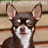 Chihuahuas 2026 Wall Calendar