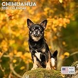 2026 Chihuahua Calendar - Dog Breed Wall Calendar - 12 x 24 Open - Thick No-Bleed Paper - 14 Month Planner Calendar Organizing & Planning
