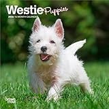 West Highland White Terrier calendar thumbnail