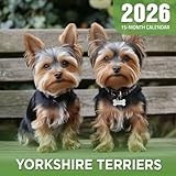 Yorkshire Terriers 2026 Calendar