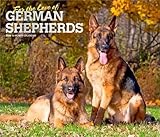 German Shepherd Dog calendar thumbnail