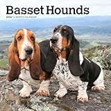 Basset Hounds | 2026 7 x 14 Inch (Hanging) Monthly Mini Wall Calendar | BrownTrout | Animals Dog Breeds