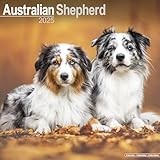 Australian Shepherd Dog calendar thumbnail