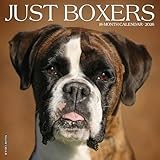 Boxers 2026 Wall Calendar