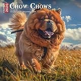 Chow Chows Calendar 2026: Regal Faces and Fluffy Fur Wrapped in Monthly Charm