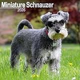 Miniature Schnauzer calendar thumbnail