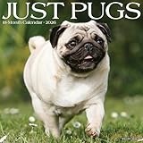 Pugs 2026 Wall Calendar