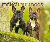 For the Love of French Bulldogs | 2026 14 x 24 Inch (Hanging) Monthly Deluxe Wall Calendar | Foil Stamped Cover | Plastic-Free | BrownTrout | Animal Dog Breeds