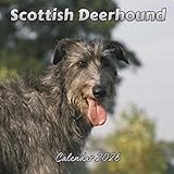Scottish Deerhound calendar thumbnail