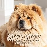 Chow Chow Calendar 2026: 12 Months Organizer From January to December