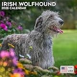 2026 Irish Wolfhound Calendar - Dog Breed Wall Calendar - 12 x 24 Open - Thick No-Bleed Paper - 14 Month Planner Organizing & Planning