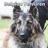 Belgian Tervuren Calendar 2026: Organizer For Home & Office From January to December For Men, Women
