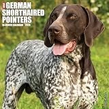 German Shorthair Pointers 2026 Wall Calendar