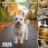 West Highland White Terrier 2026 Calendar: Bright and spunky little white terriers