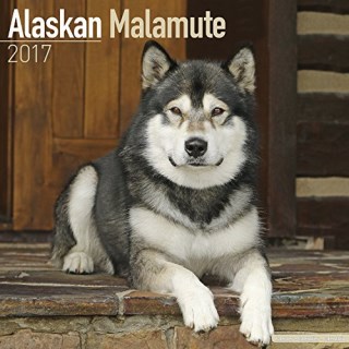 malamute puppies oregon alaskan malamute breeders in ontario freedoglistings malamute puppies oregon alaskan malamute breeders in ontario freedoglistings