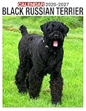 Black Russian Terrier calendar thumbnail