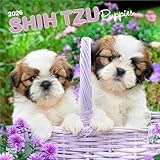 Shih Tzu calendar thumbnail