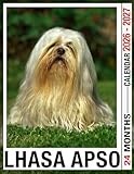 Lhasa Apso Calendar 2026 - 2027: Make Life Organized With Monthly Planner Jan 2026 To Dec 2027 Scenic Photos Us Holidays Perfect For Giving