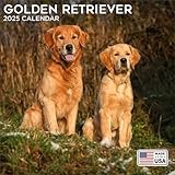 Golden Retriever calendar thumbnail