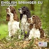 2026 English Springer Spaniel Euro Calendar - Dog Breed Wall Calendar - 12 x 24 Open - Thick No-Bleed Paper - 14 Month Planner Calendar Organizing & Planning