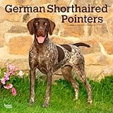 German Shorthaired Pointer calendar thumbnail