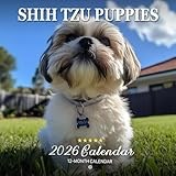 Shih Tzu Puppies 2026 Calendar: Sweet and Playful Pups in Lovely Scenes | Kalender Calendario Calendrier
