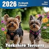 Yorkshire Terriers 2026 Calendar