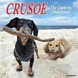 Dachshund calendar thumbnail