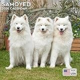 2026 Samoyed Calendar - Dog Breed Wall Calendar - 12 x 24 Open - Thick No-Bleed Paper - 14 Month Planner Calendar Organizing & Planning