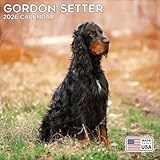 Gordon Setter calendar thumbnail