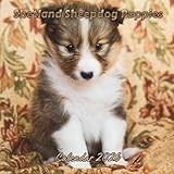 Shetland Sheepdog Puppies Calendar 2026: Organizer For Home & Office From January to December For Men, Women