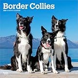 Border Collie calendar thumbnail