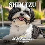 Shih Tzu 2026 Calendar: Adorable Dogs in Cute and Fluffy Poses | Kalender Calendario Calendrier