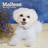 Maltese calendar thumbnail