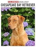 Chesapeake Bay Retriever Calendar 2026 - 2027: 24-Month Monthly Planner from Jan 2026 to Dec 2027, Large Format, Thick Paper with US Holidays, Perfect for Planning and Organizing
