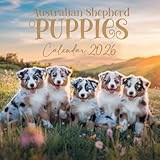 Australian Shepherd Puppies Calendar 2026: 12 Months of Dogs: January to December 2026 | The Perfect Gift for Planning, Organizing, and Dog Lovers Alike
