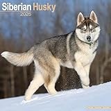 Siberian Husky calendar thumbnail