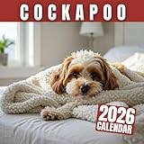 Cockapoo Calendar 2026-2027 (Spanish Edition)
